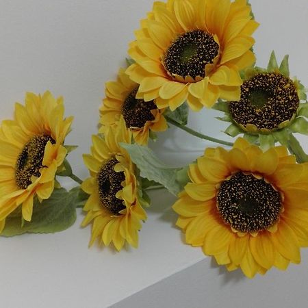 Bed and Breakfast Girasole Grazioli 47 Trient Exterior foto