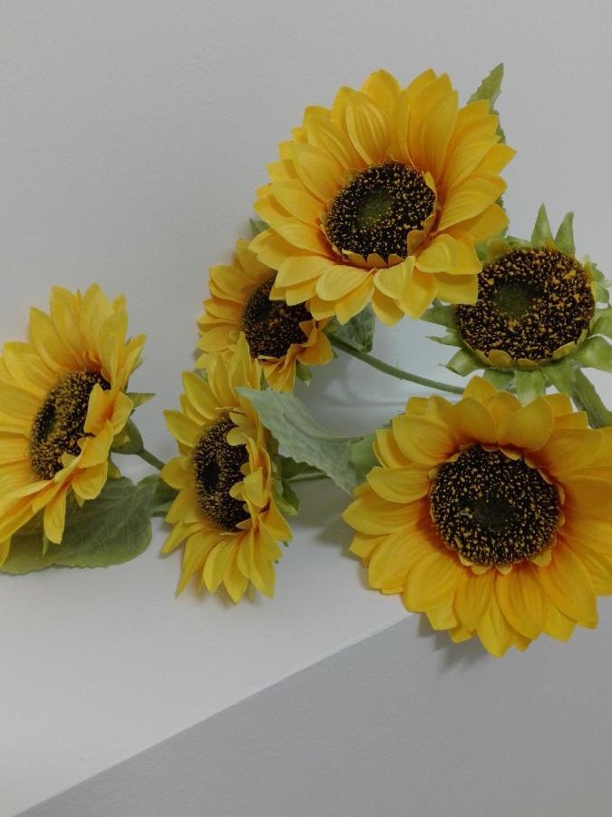 Bed and Breakfast Girasole Grazioli 47 Trient Exterior foto